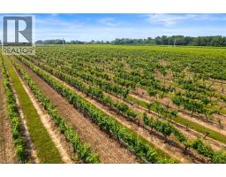507 MISSISSAGUA Street - 48