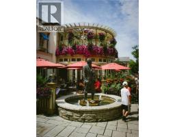 507 MISSISSAGUA Street - 9