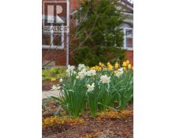 16 BORDEN Avenue N - 18