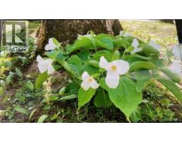 3314 SANDHILLS Road - 45