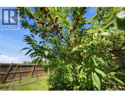 360 DOVER Avenue - 33