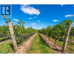 3811 KING Street - 22