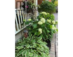 1580 WOODEDEN Drive - 42