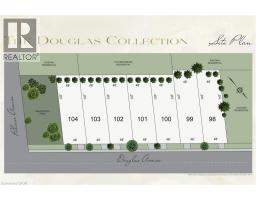 LOT 101 DOUGLAS Avenue - 5