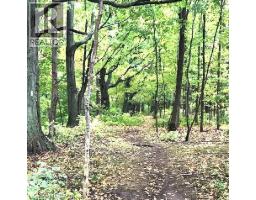 165 E RIDGE Road E - 4