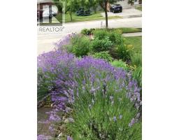 212 SLEAFORD Street - 41