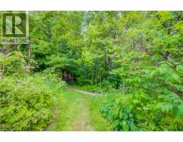 569 VIOLET Street - 30