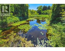 1548 MINERAL SPRINGS Road - 50