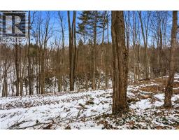 10475 PLANK Road - 34
