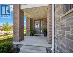 56 BANK SWALLOW Crescent - 5