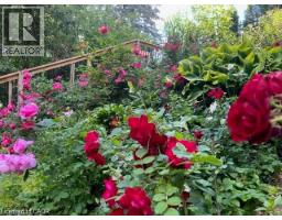 355 EDGEHILL Drive - 36