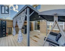 43 CHESTER Drive - 45