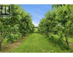 461 TICE Road - 44