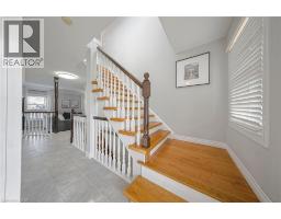 18 MOUNTAIN MINT Crescent - 2