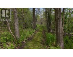 464 PIPER Street - 44