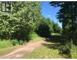 PT LT 48 CONCESSION 3 Road - 2