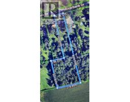 159 RIVERBANK Drive - 50