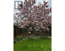 395 MAIDSTONE Crescent - 44