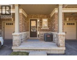 4128 PALERMO Common - 5