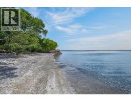 104 TEAL Avenue - 42