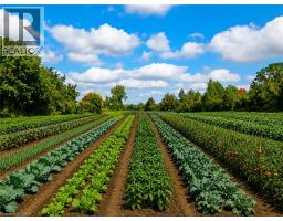 1705 W 2ND CONCESSION Road - 25