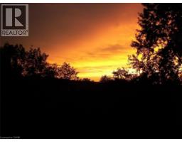 5258 CEDAR SPRINGS Road - 41