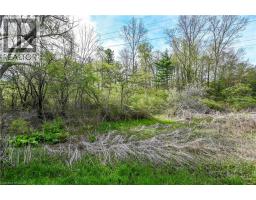 0 MINERAL SPRINGS Road - 1