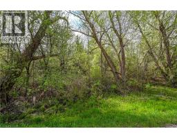 0 MINERAL SPRINGS Road - 8