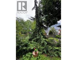 83 LOUISA Street - 12