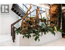 11 CHERRYWOOD Lane - 5