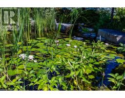 74 BALSAM Trail - 28