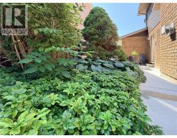 7 MANN Avenue - 45