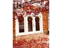 13 KELLY Avenue - 42