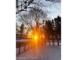 13 KELLY Avenue - 44