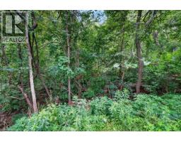 230 MORRISON Road - 29