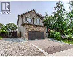 37 ALBERT Street - 3