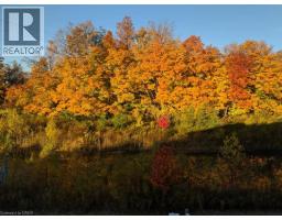 288 STEEPLERIDGE Street - 50