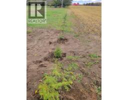 837 FERTILIZER Road - 38