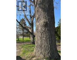 1457 97 REGIONAL Road - 20