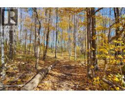 35 GREEN VALLEY Drive UnitNo. 204 - 26