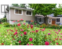 53 WILLIAM Street - 3