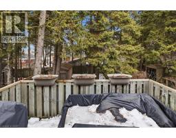 256 GREY FOX Drive - 39