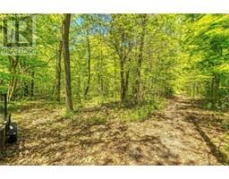 411 MCKENZIE Road - 38