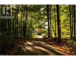 489 WILMOT Line - 4