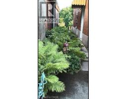 14 GRANDVIEW Street - 48