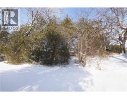 249 MURDOCK Avenue - 31