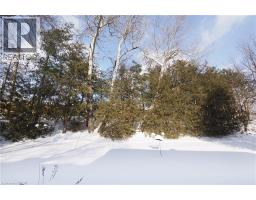 249 MURDOCK Avenue - 32