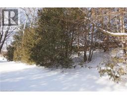 249 MURDOCK Avenue - 34