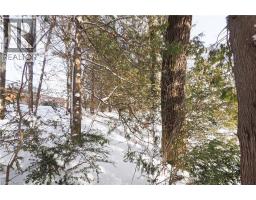 249 MURDOCK Avenue - 35