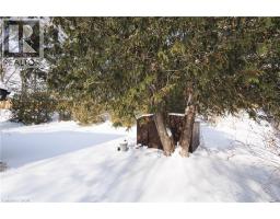 249 MURDOCK Avenue - 39